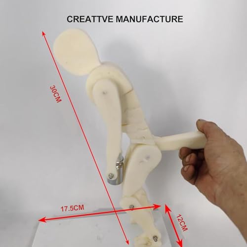 Modèle de levage didactique avec base stable pour flexion de poids - 7