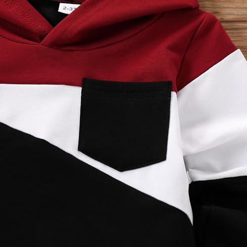 Image of 2-6T Toddler Baby Boy Clothes Color Blocking Hoodies + Pants Fall Winter Outfits