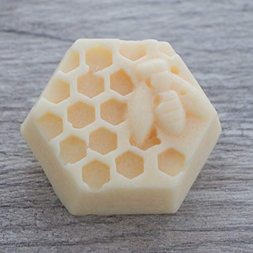 Vanilla Mint Conditioner Bar With Quinoa Protein & Mango Butter #TOP2