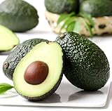 10Pcs Avocado Samen für Jahr-Runde Gewächshaus Einpflanzen Mehrjährige Gesundes Obst Baum Hat Wirtschafts Wert Sommer Ergebnisse Gärtner genießen Pflanzen