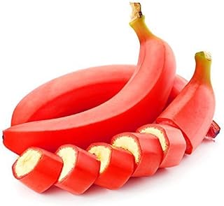 Red : 50 Particles Potted Banana Melon Seeds Beautiful Garden Bonsai Plants Golden Elongated Pumpkin Original Package Seed Vegetables Red: Only Seeds