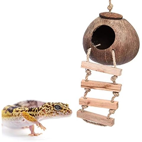 Gecko Coconut Husk Hut, Bird Hut Nesting House Hideouts with Ladder, Coco Texture Provide Food, Durable Cave Habitat with Hanging Loop for Leopard Gecko, Reptiles, Amphibians and Small Animals Cover