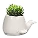 GeLive Set of 2 Whale White Ceramic Succulent Planter Air Plant Pot Window Box Decorative Container, 4 Inch, Indoor Outdoor Usage