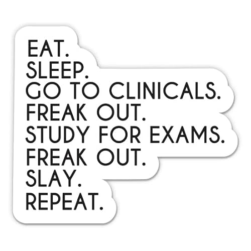 Nursing Student Quote Stickers - Future Nurse Decals (2-Pack)