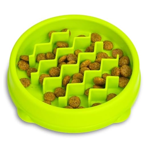 Petstages Kitty Slow Feeder - Kattenvoerbakje - groen