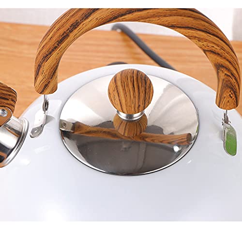 Hervidor eléctrico de agua acero inoxidable miniatura 2