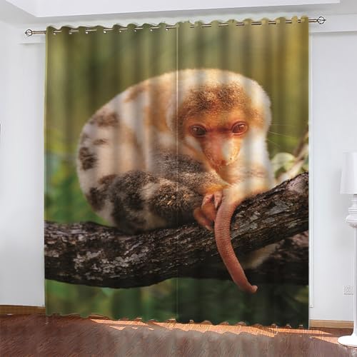 KaiHeBeding Cortinas Dormitorio Animal Cortinas Salon Quoll Manchado, Cortina con Ojal para Decorar de la Oficina en el Hogar 2 Piezas 140An x 160Al, Protección de la Intimidad Protección Solar