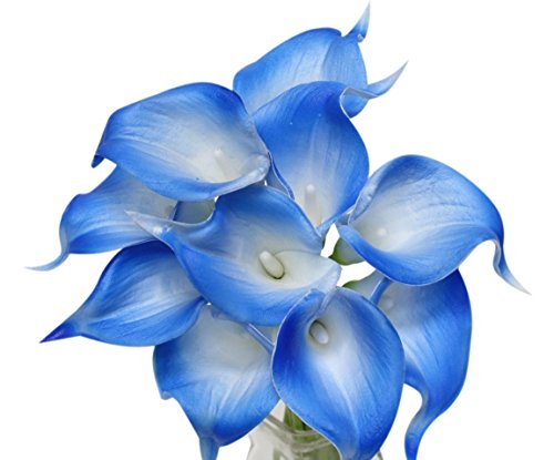 Angel Isabella 10pc Set of Real Touch Calla Lily-Keepsake Artificial Calla Lily with Small Bloom Perfect for Making Bouquet, Boutonniere,Corsage.Quality Keepsake Artificial Flower (Royal Blue Trim)