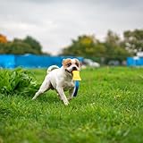 Bull Fit Beisswurst für Hunde, 30 cm mit Handschlaufe - Sehr Robustes Hundespielzeug zum Training, Tauziehen und Zerrspiele mit Hund - Aus hochwertigem Feuerwehrschlauch handgefertigt, orange