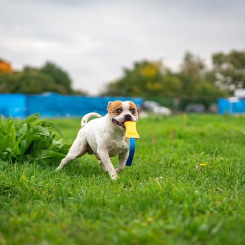 Bull Fit Beisswurst für Hunde, 25 cm mit Handschlaufe - Sehr Robustes Hundespielzeug zum Training, Tauziehen und Zerrspiele mit Hund - Aus hochwertigem Feuerwehrschlauch handgefertigt, orange