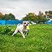 Bull Fit Beisswurst für Hunde, 30 cm mit Handschlaufe - Sehr Robustes Hundespielzeug zum Training, Tauziehen und Zerrspiele mit Hund - Aus hochwertigem Feuerwehrschlauch handgefertigt, orange