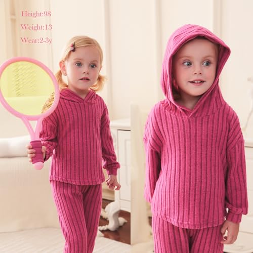 Image of Toddler Girl Fall Winter Outfit Set Stripe Solid Hoodie Pants Clothes Kids 2Pcs Sweatshirt Suit