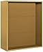Salsbury Industries 3809D-GLD Surface Mounted Enclosure for 3709 Double Column, Gold
