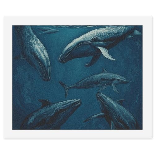 Kit peinture par numéros adultes débutants loisir créatif toile baleine