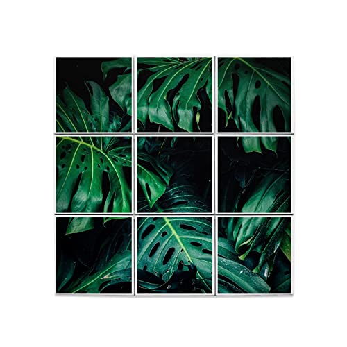 Carreaux céramique monstera pour rénover facilement une crédence