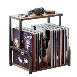 Vinyl Record Storage, Space Saving Record Holder for 12 Inch Albums, Album Vinyl Record Holder Organizes & Protects Your Collection - Les Beatles, Paul McCartney, John Lennon, RIngo Starr, George Harrison