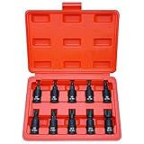 XZN Triple Square Spline Bit Socket Set, Premium Cr-Mo Steel | 10-Piece M4 - M16 Set | 3/8-Inch Drive | Enhanced Storage Case…