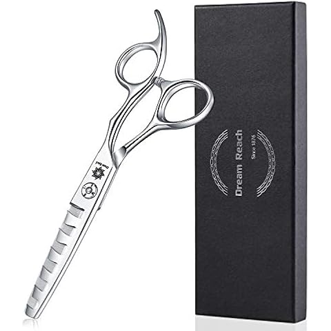 Dream Reach Professional 6 inch Hair Cutting Scissors, Japanese 440C Steel Thinning Shear for Men/Women Cutting for Salon/Barber/Home Cover