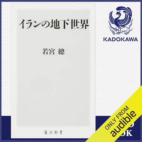 Amazon.co.jp: リーダーシップの旅 見えないものを見る (Audible Audio