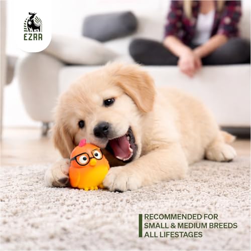 Image of EZRA Play Glasses Chicken Squeaky Latex Dog Chew Toy | Durable Non-Toxic Rubber Chew Bone | Interactive Toy for Dental Health, Teething & Active Chewers