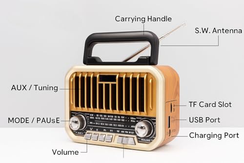 Image of Fire Turtle Pocket Blast FM Radio with Bluetooth Speaker with Powerful Sound,FM Recording, Antenna, 6w-12 Hours (USB Charging) and Number Pad (AUX, SD Card, USB Input) (New-FM)