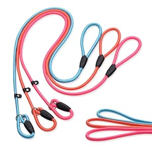 Slip Lead Dog Leash,3pcs Strong Rope Leash,Training leashes for Large Medium and Small Dogs (Pink+Orange +Blue)