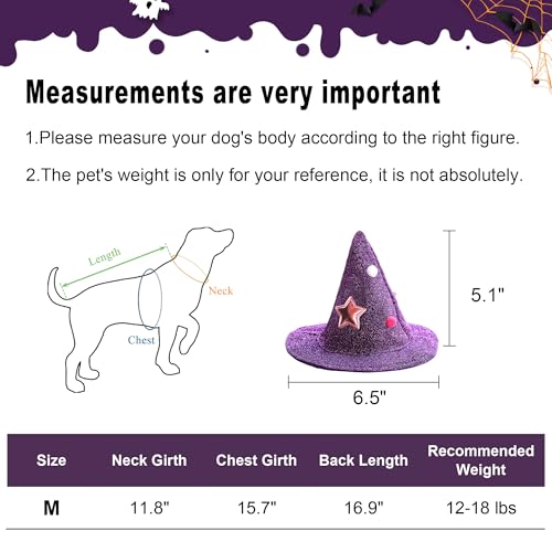 Disfraz de Bruja para Perros y Gatos Halloween con Capa y Sombrero miniatura 4