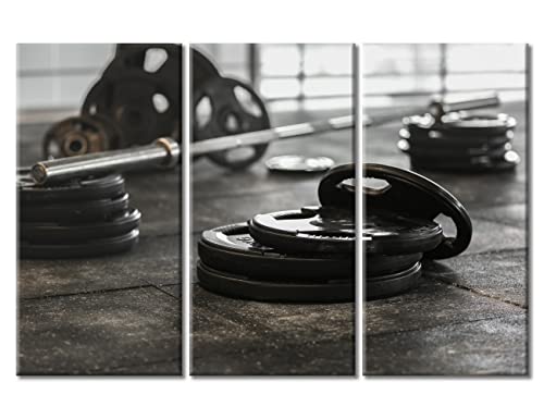 Disassembled Barbell on Floor in Gym Canvas Paintings Bedroom Canvas Wall Art 3 Panel Fitness Equipment Wall Art for Living Room Gym Workout Pictures Modern Home Decor Ready to Hang (42"Wx28"H)