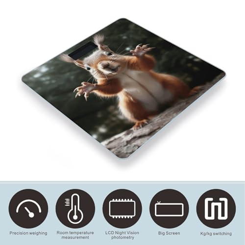 Báscula Digital de Baño con Diseño de Ardilla y Pantalla LCD miniatura 3