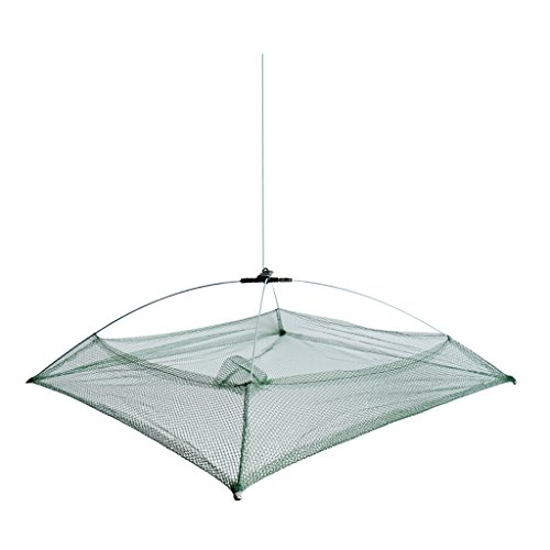 ނ܂ݎbVxCggbvPLXgfBbvlbgNuVvlbgP[W