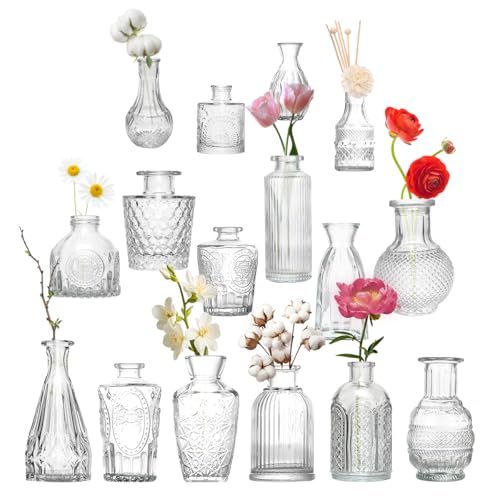 DOKKOME Set di piccoli vasi 16PCS vasi di vetro mini vasi da tavolo vasi decorativi vasi per fiori set di mini vasi decorazioni per matrimoni decorazioni floreali per casa matrimonio centrotavola