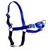 PetSafe Easy Walk Harness,  Petite/Small, ROYAL BLUE/NAVY BLUE for Dogs