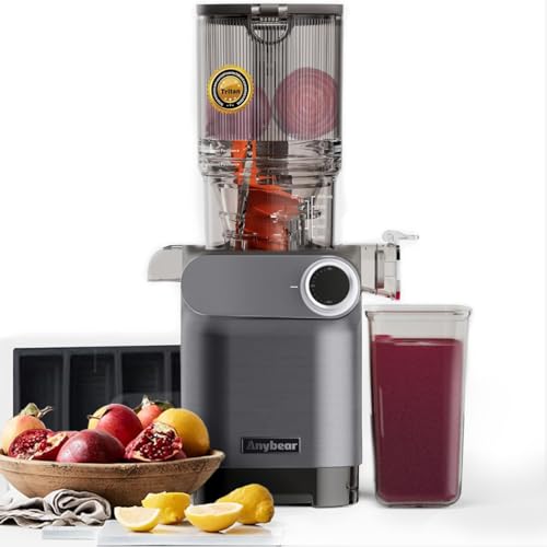 Anybear Kaltpress-Entsafter, 200 W, langsamer Entsafter, 10,9 cm, große Futterschütte, passend für ganze Früchte, Gemüse, verbesserte Schnecke, Tritan-Materialien, BPA-frei, Saftrezepte (Silbergrau)