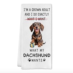 What My Dachshund Wants