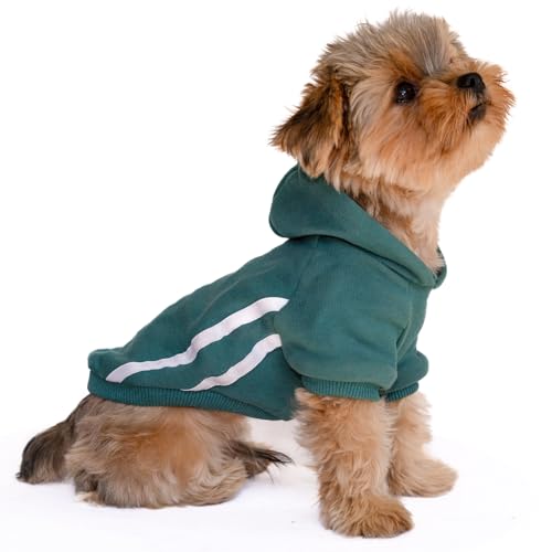 Dog Hoodie With Leash Hole - Pullover Sweatshirt for Small Dogs, Chihuahua, Yorkie, Teacup - Boy or Girl - Green S