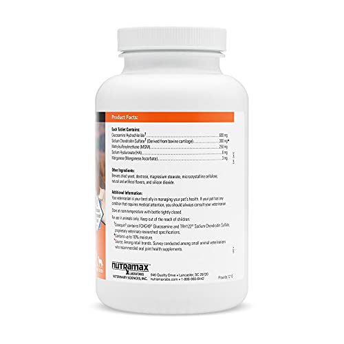 Cosequin DS Maximum Strength Plus MSM & Omega3's Chewable Tablets