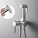 Handheld Bidet Sprayer for Toilet, Baby Cloth Diaper Sprayer Hot and Cold Water Toilet Sprayer Wall Mounted Brass Handheld Sprayer Kit for Personal Hygiene Cleaning,Chrome (Color : Chrome)