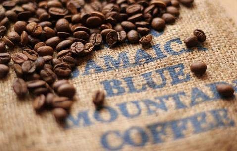 Jamaica Blue Mountain Dark Roast Coffee Beans - 5 Lb Fresh Roasted Whole Bean