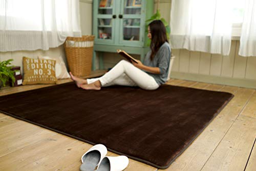 トシシミズ 低反発高反発フランネルラグ ブラウン 190×240cm 遮音 LM101
