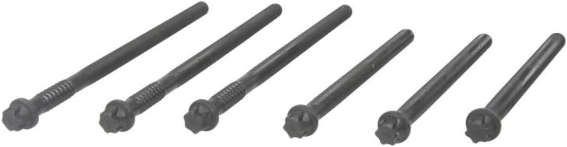 Elring 015.920 Nuts and Bolts