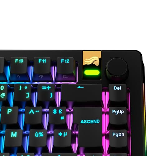 GLORIOUS Doubleshot ABS V2 Tastenkappen (123x) OEM-Profil, AZERTY Schwarz – Ansicht 5