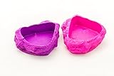 Ponds for Hermit Crabs | Plastic Neon Ponds 2 Pack 3