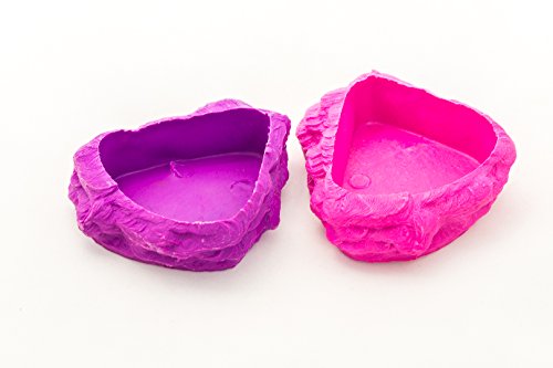 Ponds for Hermit Crabs | Plastic Neon Ponds 2 Pack 3