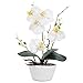 Roślina orchidea, jedwabne kwiaty, sztuczna orchidea, sztuczne kwiaty w wazonie, małe sztuczne orchidee, dekoracyjne kwiaty, Phalaenopsis sztuczna roślina, dekoracja stołu na stół, białe kwiaty, na wesele, dekoracja do domu