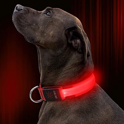 Illumifun LED Dog Collar, USB Rechargeable Lighted Dog Collar, Nylon Glowing Safety Collar Light for Your Dogs Nighttime Walking (Red, Medium)
