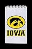 Greeting Pen University of Iowa Hawkeyes Set of 3 Flip Pad 3"x5" Spiral Notebooks 1739 #1