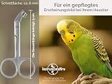 Vogel Krallenschere Krallenzange abgewinkelter Krallenschneider 9 cm - Krallen kürzen von Papageien Sittiche Wellensittiche Kleintiere - Rostfreier Edelstahl - Markenqualität vom Fachhandel