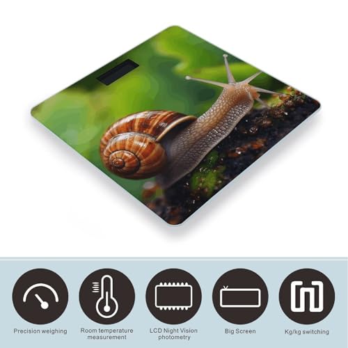 Báscula Digital de Baño con Sensor Animal Caracol miniatura 3