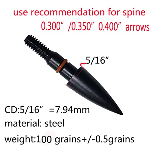 Field Points Arrowheads 100 Grains Archery Field Points,5/16" Steel Screw In Archery Field Tips And Broadheads (1 Dozen 12 Pcs) #TOP1