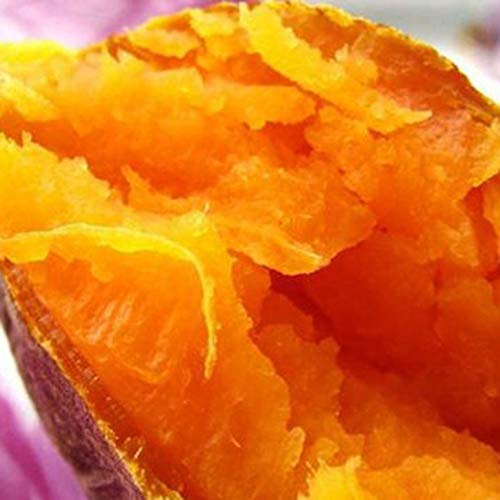 scgtpapadc Sweet Potato Seeds, 50Pcs Purple Sweet Potato Seeds Nutrition Delicious Vegetable Bonsai Plants, Flower Seeds Plant Seeds Sweet Potato 50pcs